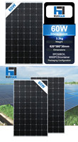 Panneaux solaires à haute efficacité Panneaux solaires monocristallins PV 60w 100w 150W 200W panneau solaire en verre