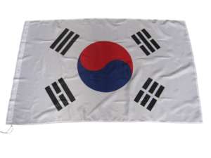 Banderas Nacionales Personalizadas al por Mayor de Beckon, Impresión Digital, Estilo Bandera, para Eventos Deportivos y Campañas Políticas, con MOQ Bajo y Envío Rápido - Product Image 5