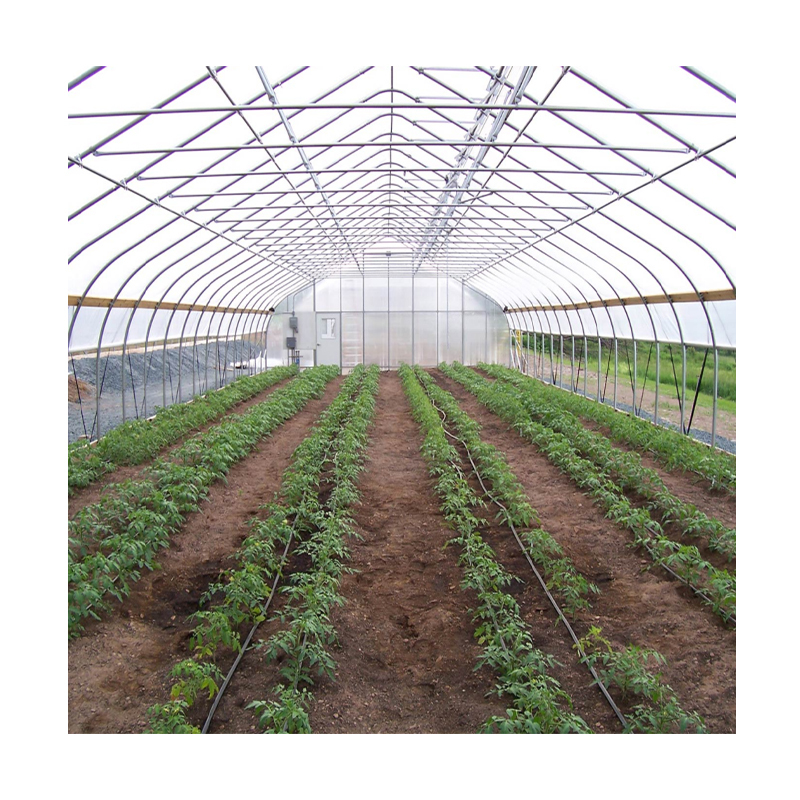 Sinok Smart Polycarbonate Greenhouse Kit with