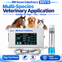 Machine à ondes de choc électromagnétiques vétérinaires BMV16 pour chiens, chats, chevaux, corps métallique portable, fabricant en gros, CE RoHS