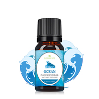 10ML une boîte de 6 bâtonnets contient de l'huile essentielle pure professionnelle humidificateur aromathérapie Machine diffuseur d'huile