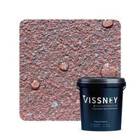 Vissney Matte Sealent Nano Recubrimiento Hidrofóbico Barniz Impermeable Pintura