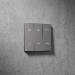 แผงสวิตช์ติดผนังอัจฉริยะแบบตาข่าย 6 ช่อง 220V 10A 800W ควบคุมด้วยระบบสัมผัสและเสียง สำหรับระบบอัตโนมัติในบ้านพักอาศัย - Product Image 6