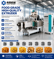 Ligne de production de snacks soufflés contrôlée par PLC, en acier inoxydable 304, avec équipement et moules d'extrusion, séchage, friture et assaisonnement automatiques