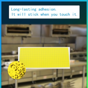 Pièges à colle jaunes super puissants pour dossiers, moustiques, moucherons et insectes volants - Vente en gros pour la maison, le jardin et l'agriculture - Product Image 3
