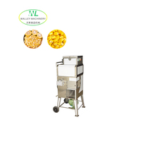 Aangepaste industriële automatische fruit- en groenteschiller/snijmachine van roestvrij staal 304, capaciteit 700 kg/uur voor commercieel gebruik