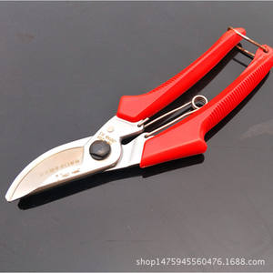 Cisailles de taille Liu Sheng 120 mm en acier inoxydable avec poignée antidérapante pour arbres fruitiers et jardins - Product Image 3