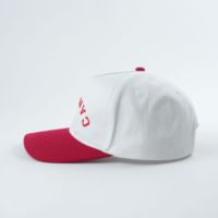 Gorra de Béisbol Unisex con Diseño Nuevo, Bordado de Letras Oxford con Estampado de Leopardo, Gorra de Moda para Exteriores con Cierre a Presión, Visera Curva de Dos Tonos Personalizada