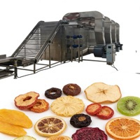 Complete 1 ton/uur 2 ton/uur 3 ton/uur lijn voor het wassen, snijden, blancheren, dehydrateren en drogen van verse fruit- en groentechips voor boerderijen