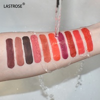 Vente en gros Private Label 2 en 1 Ensemble rouge à lèvres liquide rose clair et crayon à lèvres Kit de masque à lèvres mat et étanche