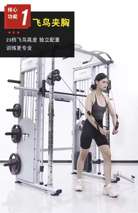 Entraîneur fonctionnel commercial, équipement de forme physique de mise en forme du corps, Smith Machine - Product Image 5
