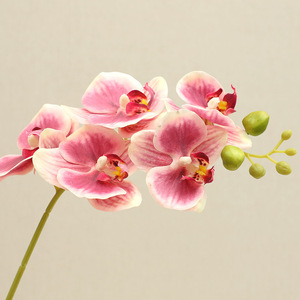 Orquídea Phalaenopsis Blanca de Tallo Corto Simulada de Alta Calidad, Planta Artificial para Fotografía con Tacto Húmedo y Realista - Product Image 3