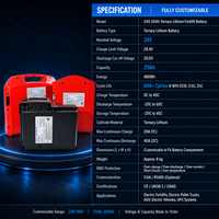 Batterie liquide 24V 20Ah 480Wh LiFePO4 avec BMS intelligent CNRY-24V-8S10P 8kg personnalisée pour chariots élévateurs électriques et transpalettes électriques