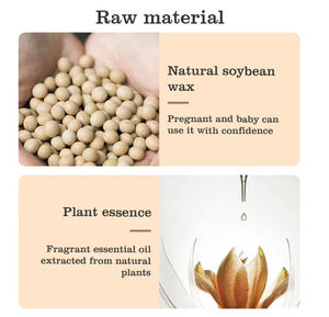 Éclairage de parfum de cire de soja d'aromathérapie avec logo personnalisé Bougies parfumées florales naturelles de luxe d'intérieur - Product Image 3