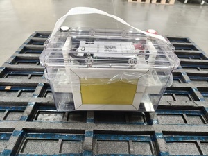 Batterie LiFePO4 12V 100Ah à Coque Transparente, Cycle Profond, Rechargeable au Lithium pour Stockage d'Énergie Solaire, Bateaux et Véhicules Récréatifs - Product Image 2