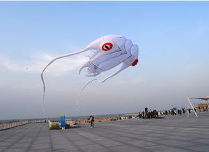 <span class=keywords><strong>Cerf</strong></span>-<span class=keywords><strong>volant</strong></span> en nylon souple 3D Trilobite LED Performance de plage par <span class=keywords><strong>cerf</strong></span>-<span class=keywords><strong>volant</strong></span> gonflable géant - Product Image 2