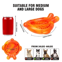 Jouet à mâcher pour chien en nylon et caoutchouc écologique, bol à lécher, jouet indestructible en forme d'arête de poisson pour le nettoyage des dents molaires, livraison directe
