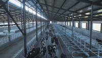 Naves para Ganado, Diseño de Edificios Industriales de Acero, Estructura de Acero, Establos Metálicos