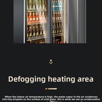 Réfrigérateur à boissons avec dégivrage automatique, porte vitrée, double porte, pour bar, restaurant, café