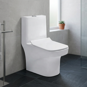 WC monobloc en céramique style indien Twyford, chasse d'eau Cyclone, réservoir encastré, double chasse, siphon en S - Product Image 1