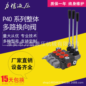 Vannes hydrauliques de haute qualité Lixin série P40, interrupteur directionnel multi-vieux intégré pour pièces de machines d'ingénierie - Product Image 5