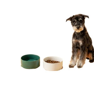 ชามอาหารแมวเซรามิกแบบยกสูงพร้อมขาตั้งไม้ไผ่ ชามอาหารสุนัขแบบยกสูงสำหรับลูกสุนัข ป้องกันการ<span class=keywords><strong>อาเจียน</strong></span> กันลื่น ลดความเครียด ขนาด 13.5 ออนซ์ / 400 มล. สีเหลือง - Product Image 1