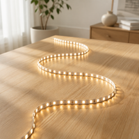 Bande lumineuse LED 24V 5MM intérieure en cuivre IP20 multicolore, température de couleur Ra80, durée de vie de 25 000 heures