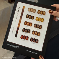 SUUSEEGEL 2026 Nouvelle Collection de 10 Couleurs Marron Effet Œil de Chat – Kit de Gel UV pour Ongles de Haute Qualité, Non Toxique, pour Salons de Manucure (ODM/OEM, Vente en Gros)