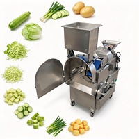 Ervarangetrouwd 	 Commerciële machine voor het snijden van lente-ui, kool, aardappel, komkommer en andere groenten 	 Fruitverwerkingsmachine