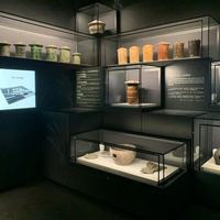Dôme de présentation de bijoux de luxe pour musée avec éclairage LED, design écologique et durable