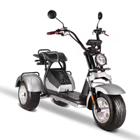 Tricycle électrique à 3 roues Loyal avec deux moteurs, batteries au lithium amovibles, GPS, design pliable et étanche, autonomie de 100 km
