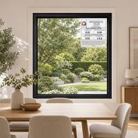 Ventana Fija de Aluminio de Gran Tamaño, Personalizada, con Rotura de Puente Térmico y Vidrio Aislante para Tiendas Comerciales