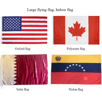 Drapeau National Personnalisé du Congo Démocratique Toutes Tailles 3*5FT en Polyester à Suspendre, Vente en Gros