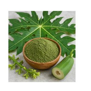 Fournisseur en gros de poudre de feuilles de papaye séchées de haute qualité, feuilles de papaye verte finement moulues pour ingrédient botanique en gros - Product Image 3