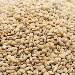 Granos de Cebada Perlada Premium de Alta Calidad para Exportación, Cebada Natural Descascarillada, Grano Entero Saludable y Rico en Fibra - Product Image 1