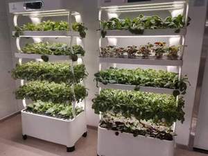 Agriculture Garden Cultivation Commercial irrigation hydroponics equipment For Indoor Plant Growing - Product Image 6