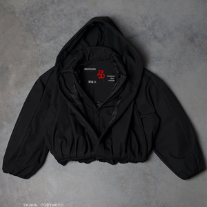 Blouson Bomber Court Personnalisé Streetwear Oversize à Séchage Rapide, Brodé, en Duvet de Canard, Noir, Coupe-Vent - Product Image 3