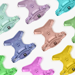 Pet ürünleri fabrika özelleştirilmiş toptan Macaron köpek tasma seti PVC evcil hayvan tasması su geçirmez köpek tasması oyuncak beş parçalı Set OEM/ODM - Product Image 4