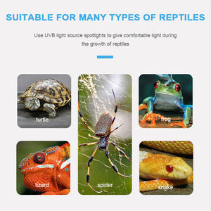 <span class=keywords><strong>Support</strong></span> de <span class=keywords><strong>lampe</strong></span> <span class=keywords><strong>chauffante</strong></span> à prise américaine 110V pour reptiles avec tuyau rotatif à 360 degrés et pince avec ampoule E27 <span class=keywords><strong>Tortue</strong></span> Basking Light - Product Image 2