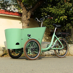 3 roues <span class=keywords><strong>cargo</strong></span> moteur enfants poussette porte-bébé tricycle pour maman et papa <span class=keywords><strong>cargo</strong></span> vélo - Product Image 1