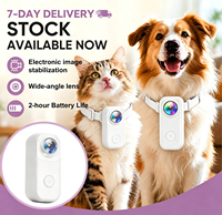 Mini caméra de collier pour animaux de compagnie 1080P HD anti-tremblement pour chiens et chats, suivi des activités en extérieur et en intérieur