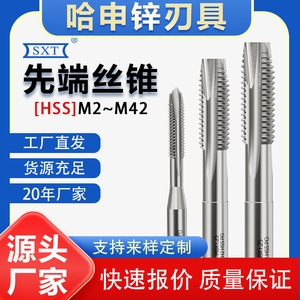 Tarauds métriques Hashen en zinc M2 M3 M4 M5 M6 M8 M10 M12 M14 M16 M18 M20 M22 M24 M27 pour filetage traversant - Product Image 4