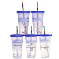 24oz 700ml Gobelets réutilisables en PP Gobelets en plastique froid à couleur changeante avec pailles