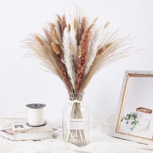 Herbe de la <span class=keywords><strong>Pampa</strong></span> Séchée en Gros pour Bouquets de Mariage, Fête des Pères, Remise de Diplôme - Imperméable, Longue Durée, Personnalisable - Product Image 1