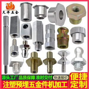 Tianyang Hardware Embedded Nuts Metric Thread Inserts 20mm Machined Parts Stainless Steel Iron Aluminum Brass POM Carbon Steel - Product Image 3