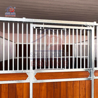 Porte coulissante Shinehope HDG en acier Q235 anti-évasion pour panneau avant de box de chevaux, équipement d'écurie extérieure personnalisable