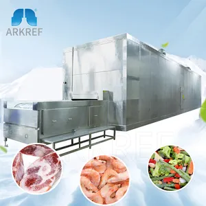 Arkref Fast Freezing Machine Freezing Tunnel For Seafood Processing