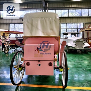 <span class=keywords><strong>Voiture</strong></span> électrique royale rose personnalisée à 2 rangées pour événements tels que les fêtes des 16 ans, les Quinceañeras et les enterrements de vie de jeune fille - <span class=keywords><strong>Location</strong></span> - Product Image 4