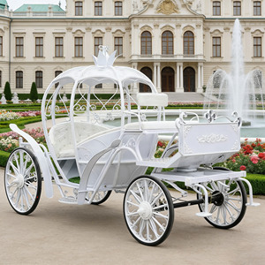 รถม้าแต่งงานสุดหรูแบบซินเดอเรลล่า พร้อมม่านกันฝนและไฟ LED - Product Image 1