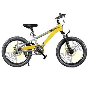 小婴儿儿童自行车/批发儿童玩具自行车/中国高品质廉价男孩山地自行车
